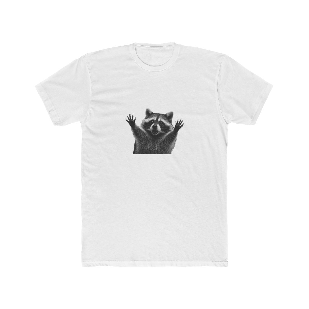 Raccoon Abduction Diaries Elevate Your Style with UFO Stories T Shirt - Official t-shirts merchandise